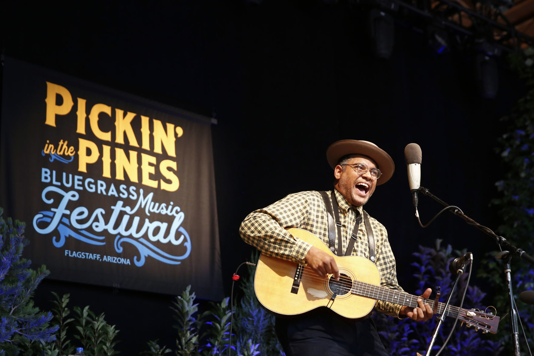 pickin - dom flemons.jpg
